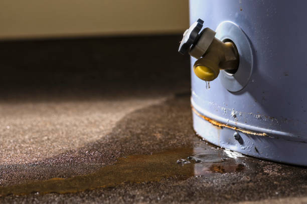 Best Sewage cleanup and water damage restoration  in Palm Springs, FL