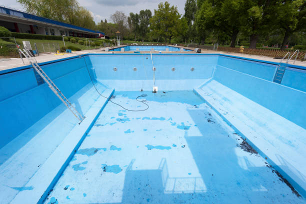 Best Water damage cleanup near me  in Palm Springs, FL