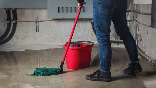 Best Water damage restoration near me  in Palm Springs, FL