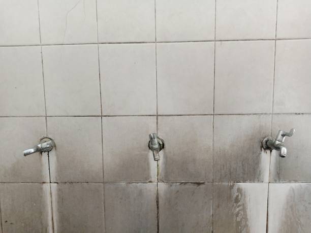 Best Water damage restoration company  in Palm Springs, FL