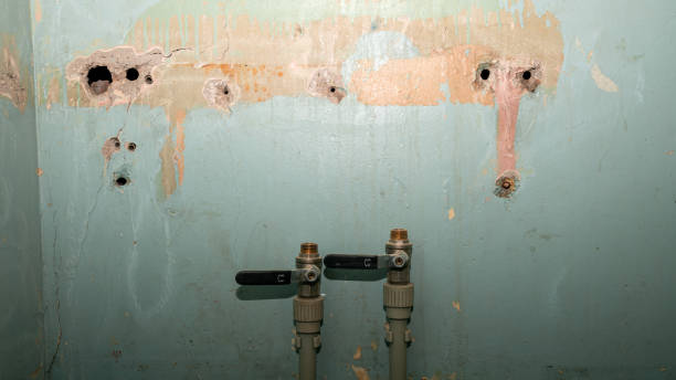 Best Flood restoration services  in Palm Springs, FL