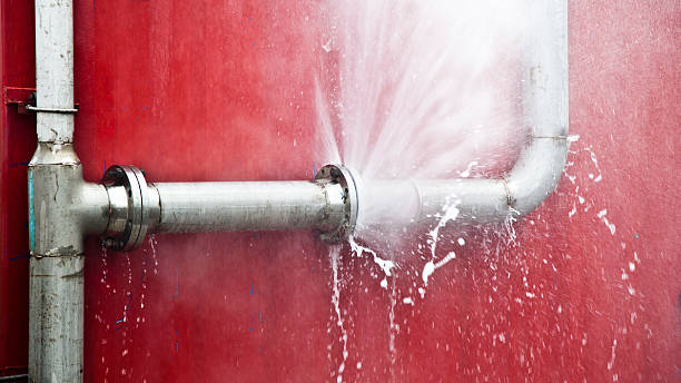 Best Sewage cleanup and water damage restoration  in Palm Springs, FL